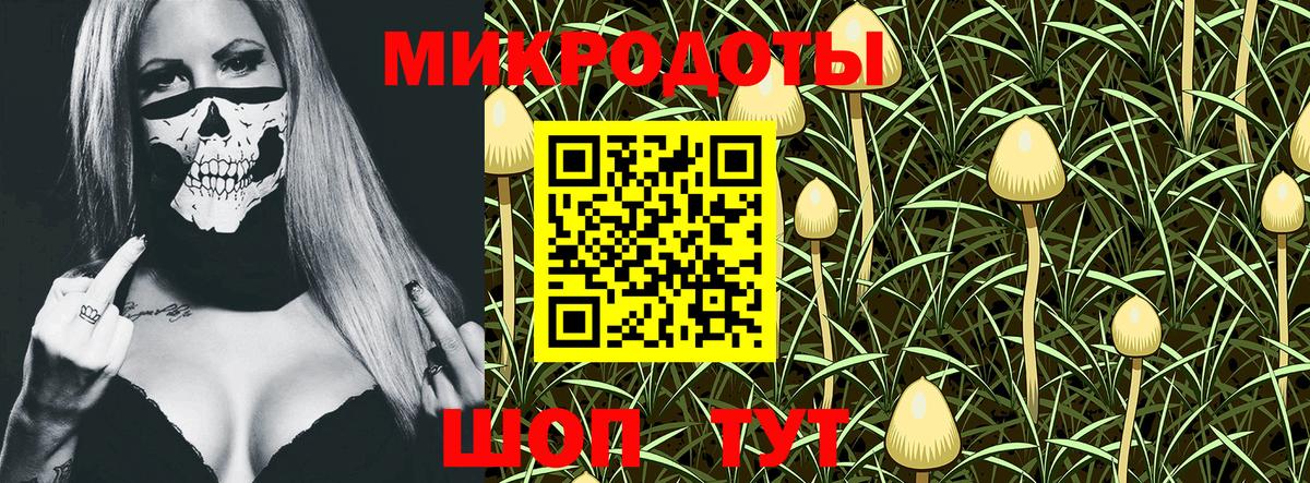 Псилоцибиновые грибы мухоморы Ялта